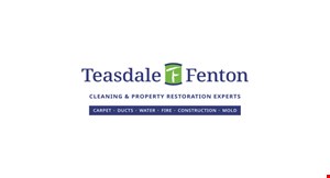 Product image for Teasdale Fenton Buy One Area Rug Cleaning Get One Of Equal Or Lesser Value Free