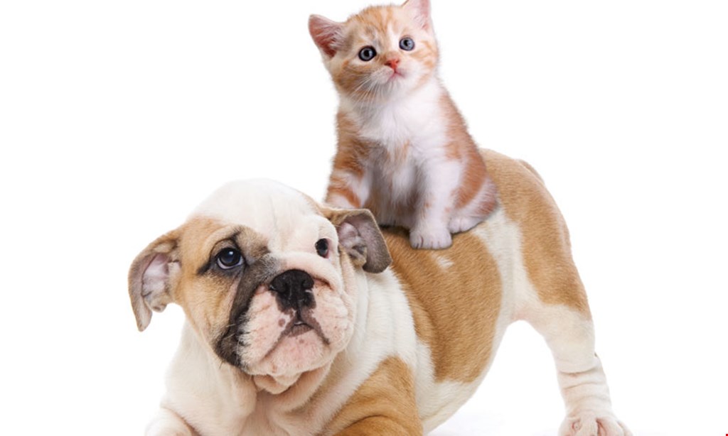 Product image for Pet Well Clinic-Emory Road $20 OFF any PetWell® Vaccine Packages.
