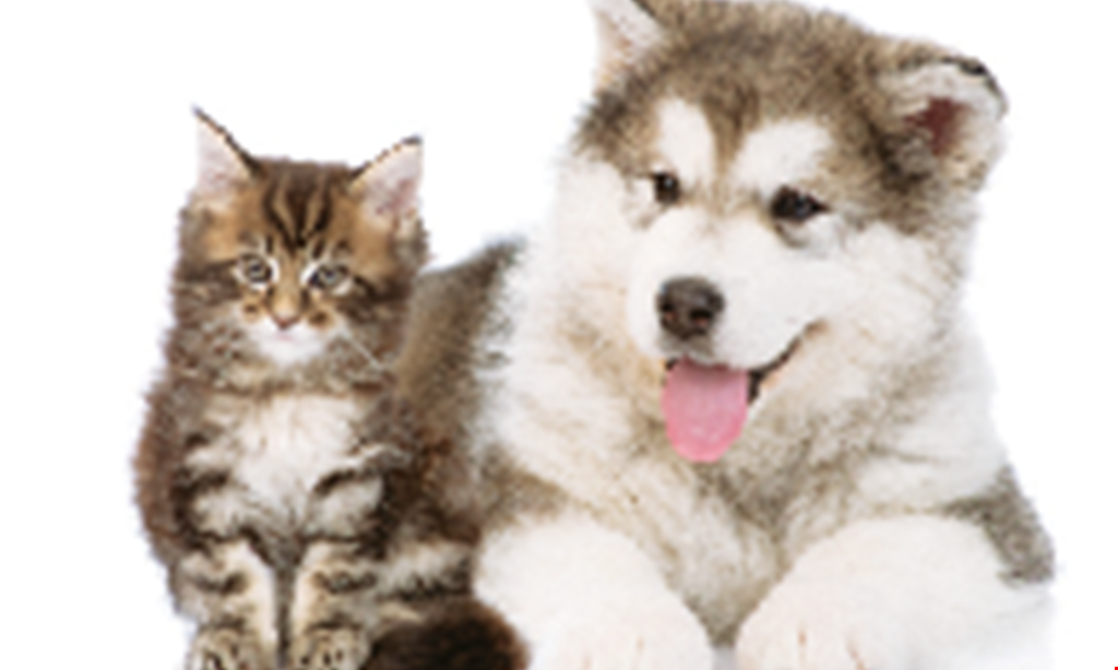 Product image for Pet Well Clinic-Emory Road $20 OFF any PetWell® Vaccine Packages.