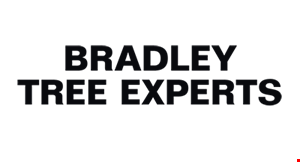 Product image for Bradley Tree Experts UP TO $100 off any tree removal or pruning