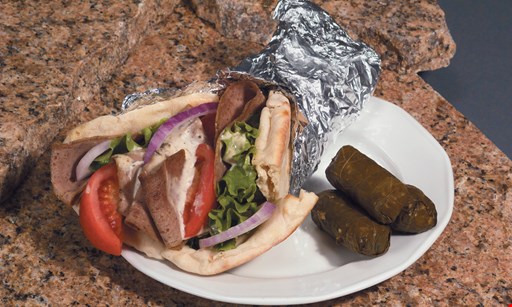 Product image for Friendly Greek Bottle Shop $18.99 2 gyro pitas & 1 order of fries.