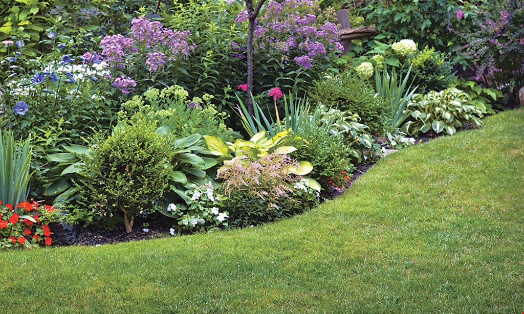 Product image for PROGREEN OUTDOOR SOLUTIONS $60 OFF Your Annual Lawn Care Program . 