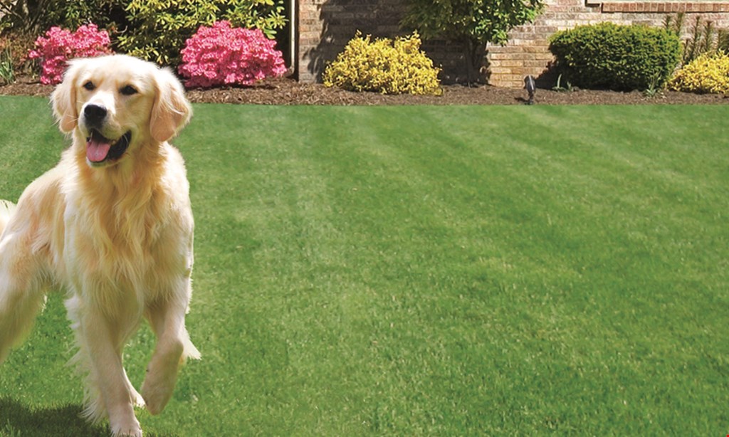 Product image for Turf Tamerz $50 off the purchase of our 5-step lawn care program.