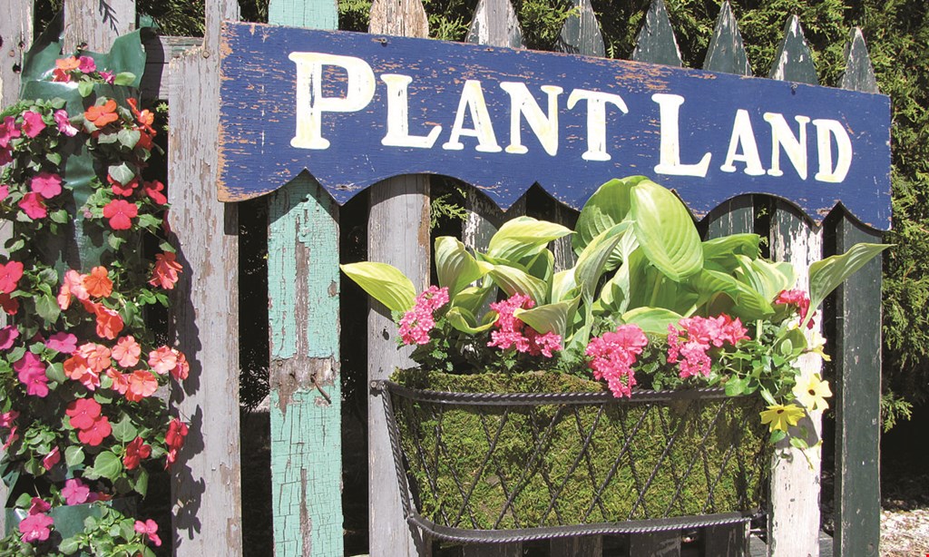 Product image for Plant Land $10 off any purchase 