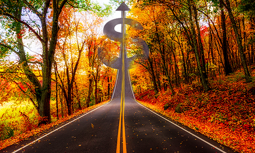 Autumn trees and the road to savings