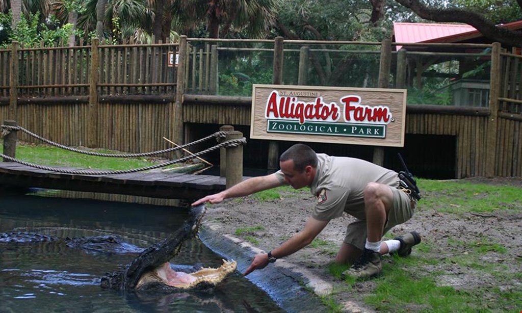 Product image for St. Augustine Alligator Farm $18 For One Admission To The Alligator Farm (Reg $36)