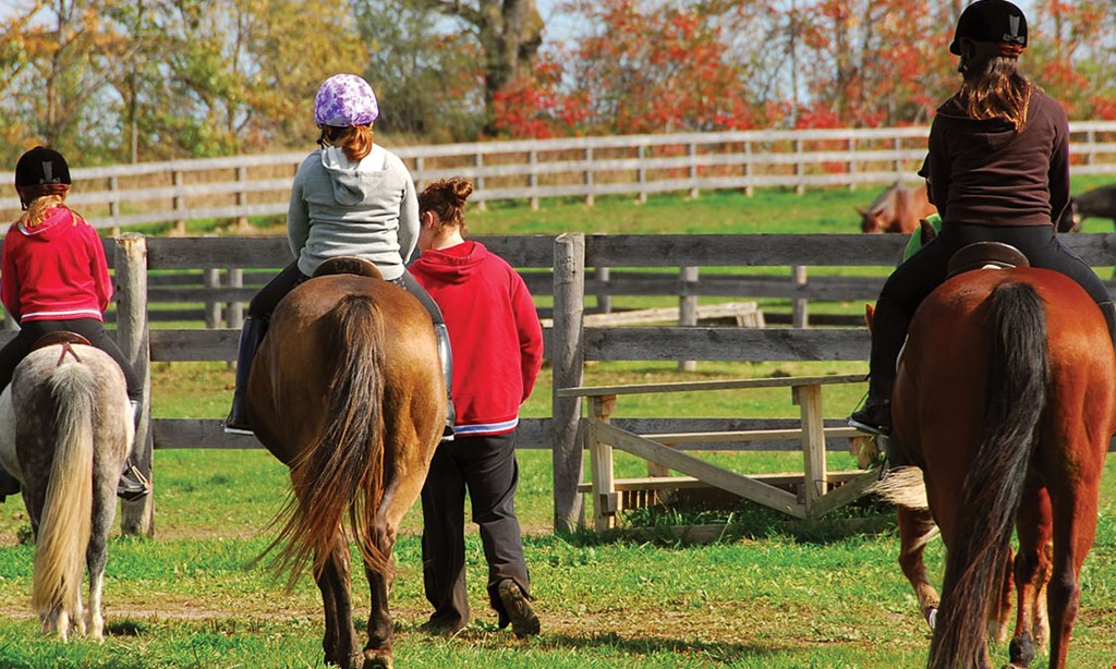 Product image for Saddle Brook Farm Animal Rescue $29 For A 1-Hour Trail Lesson (Reg. $65)