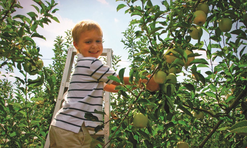 Product image for Riverview Orchards $12.50 For $25 Worth Of Pick Your Own Apples For The 2020 Season