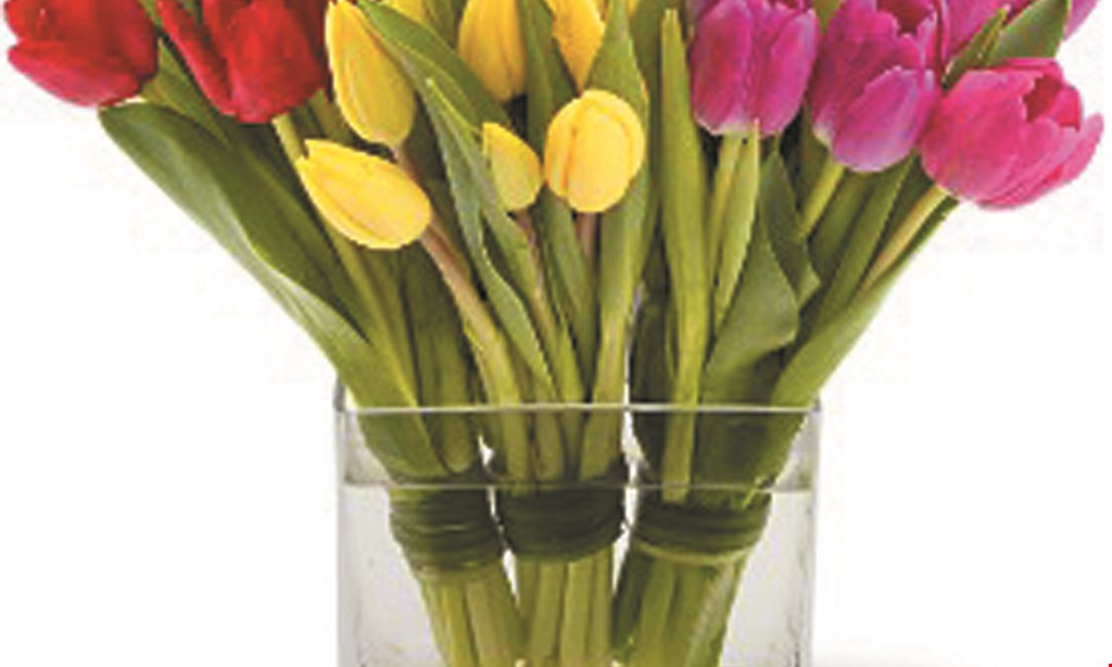 Product image for Lincolnway Flower Shop & Gifts $25 For $50 Toward Any Planter, Cooler Arrangement Or Gift Item