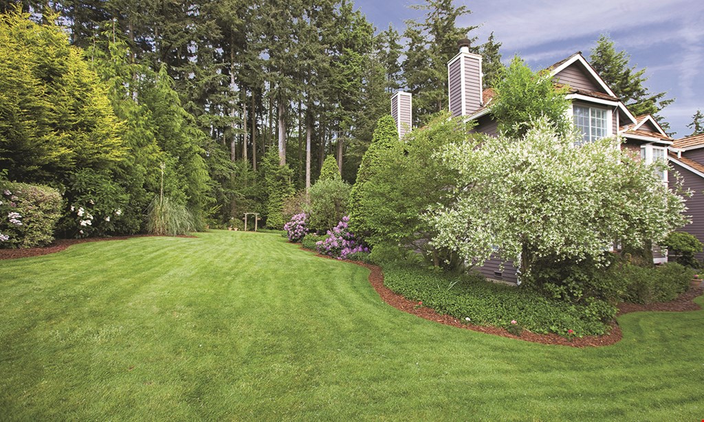 Product image for Evergreen $350 For A Full Acre Lawn Aeration & Winterization (Reg. $700)