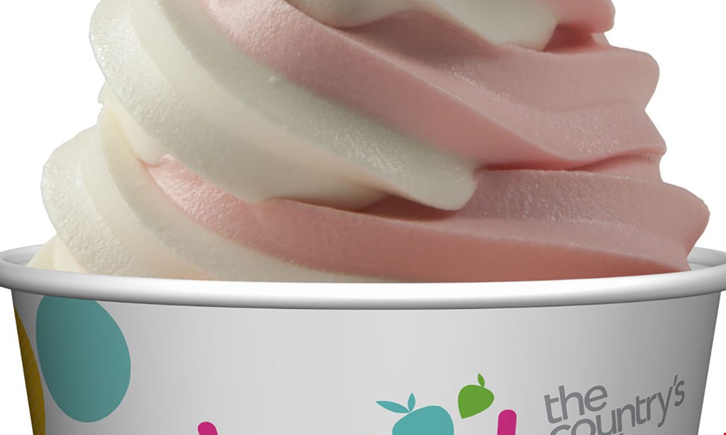 $10 For $20 Worth Of Frozen Yogurt & More at TCBY ...