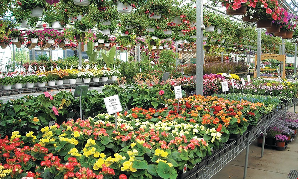 Product image for Gullo's Garden Center $15 For $30 Toward Flowers, Shrubs & Gardening Goods