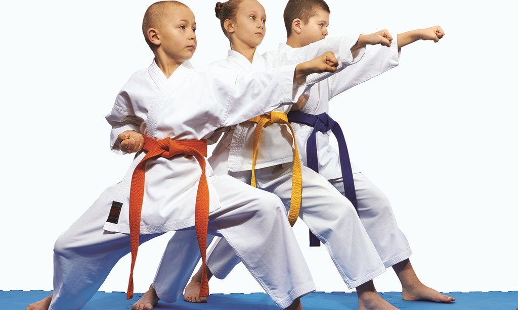 Product image for World Champion Taekwondo - Southbury $40 For A 3-Week Program (Reg. $80)