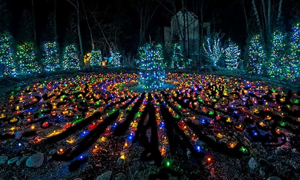 18 For Light Show Admission For 2 Adults 2 Children Reg 36