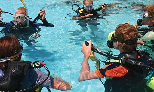 Product image for Blue Water Divers $35 For A 2-Hour Discover Scuba Session For 1 Person, Includes Use Of Equipment & Team Instructor (Reg. $70)