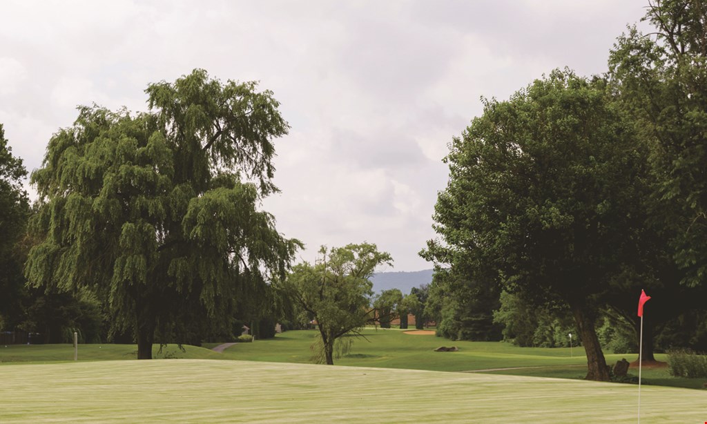 Product image for Shepherd Hills Golf Club $94 For 18 Holes Of Golf Including Carts For 4 (Reg. $188)