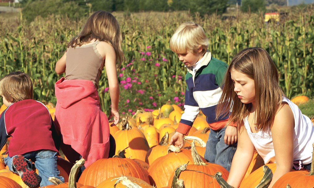 Product image for Lucas Bros. Farms $26 For A Family Of 4 For Hayride, Corn Maze & Small Pumpkin (Sept. 25-Nov 1, 2020) (Reg. $52)