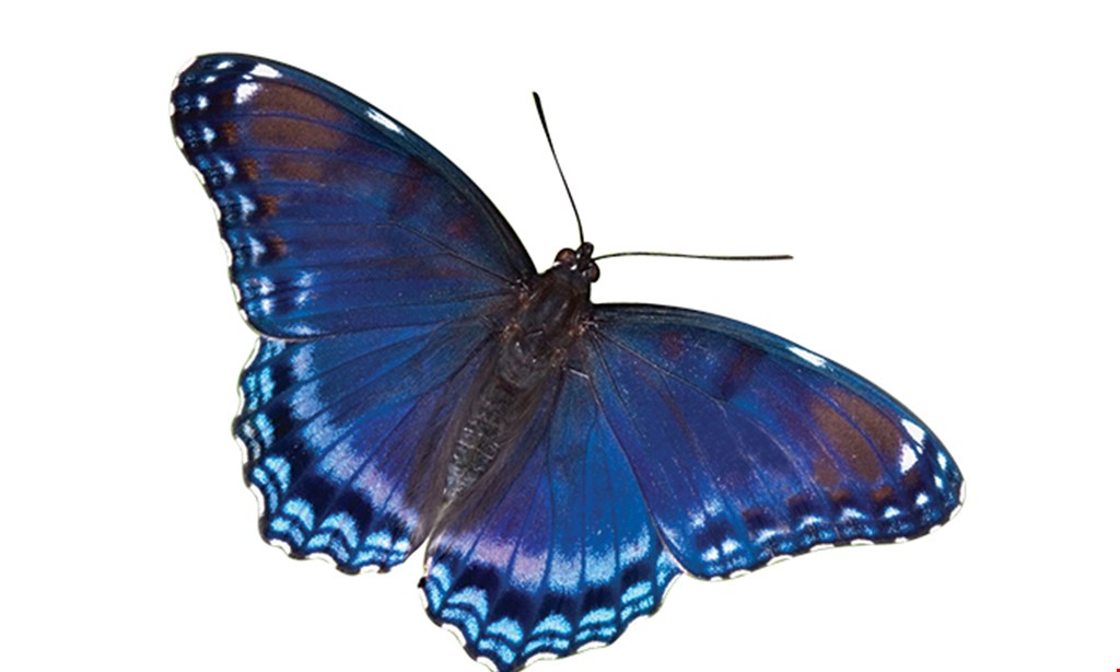 Product image for Philadelphia Insectarium and Butterfly Pavilion $21.90 For Admission For 4 (Reg. $43.80)