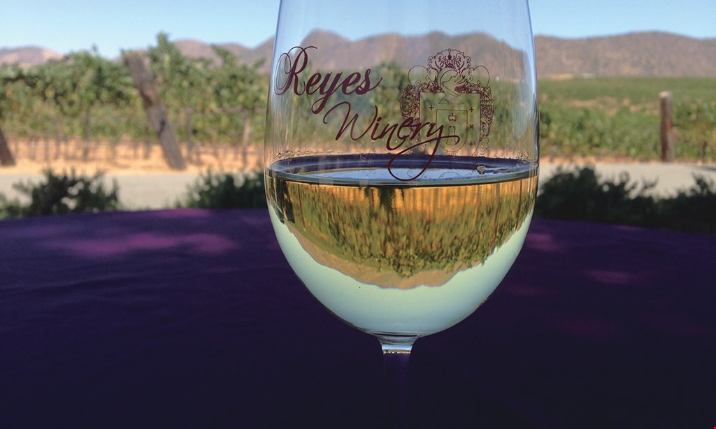 Product image for Reyes Winery $15 For A Wine Tasting Flight Of 7 Wines For 2 People Including Wine Glass (Reg. $30)