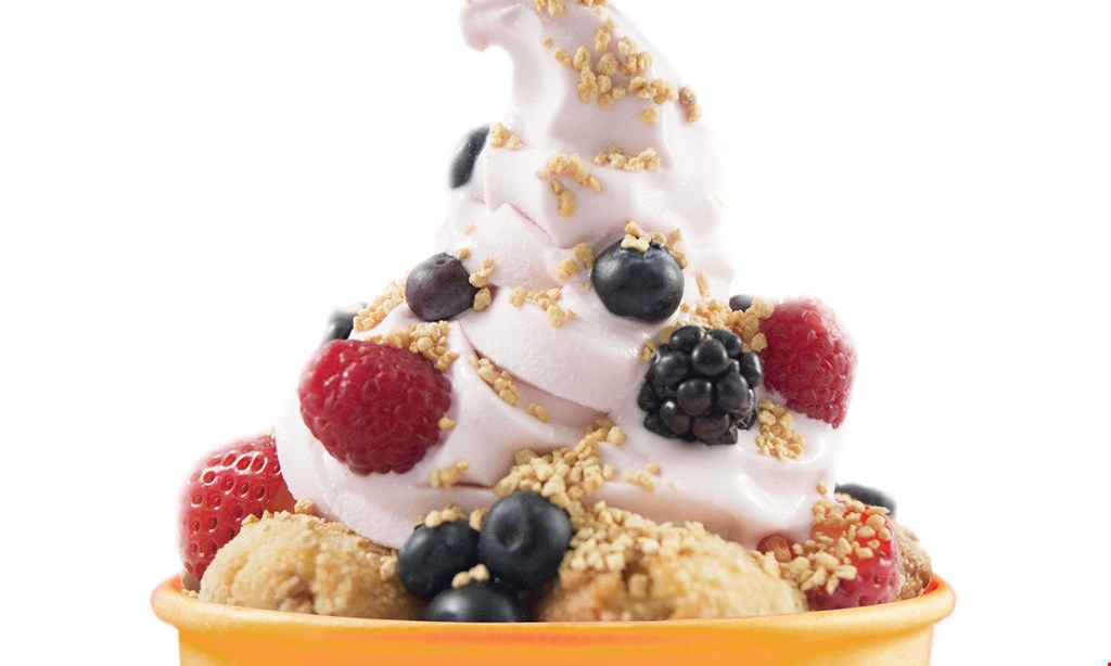 Product image for Blitzer's Premium Frozen Yogurt $10 For $20 Worth Of Frozen Yogurt