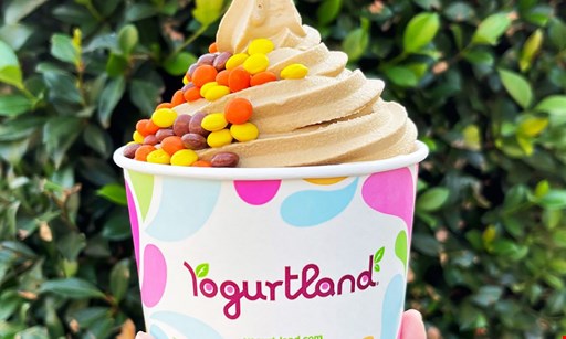 Product image for Yogurtland Baldwin Hills $10 For $20 Worth Of Frozen Yogurt
