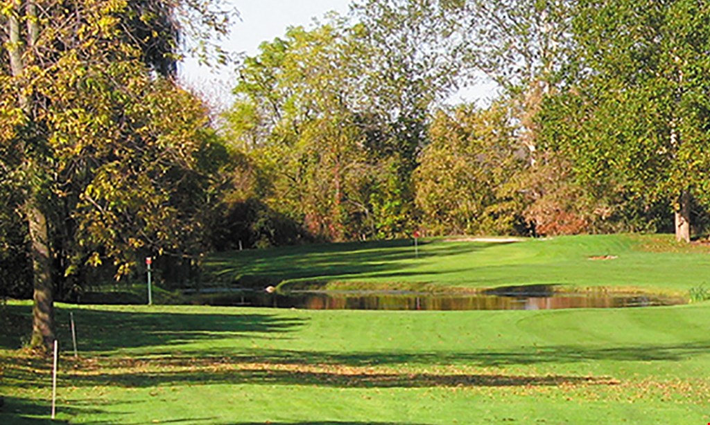 Product image for Meadowbrook Golf Club $23 For 9 Holes Of Golf For 2 With Cart (Reg. $46)