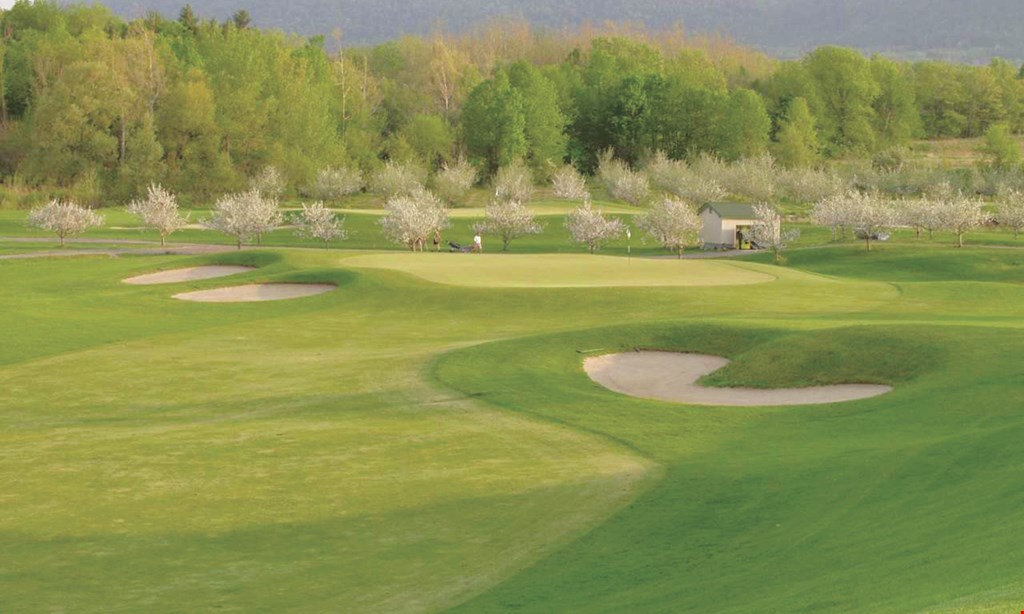 Product image for Orchard Creek Golf Club $106 For 18 Holes Of Golf With A Cart For 4 People (Reg. $212)