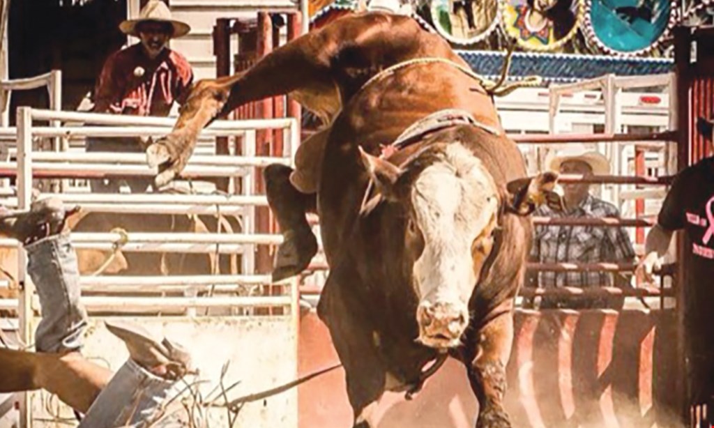 Product image for Paradise Ranch Bull Riding $20 For Rodeo Admissions For 4 (Reg. $40)