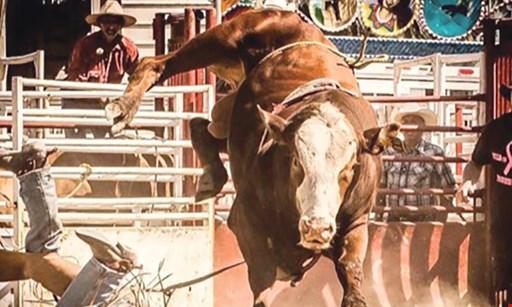 $20 For Rodeo Admissions For 4 (Reg. $40) at Paradise ...