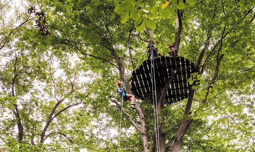 Product image for Tree Frog Canopy Tours $85 For 1 Zip Line Tour For 2 People (Reg. $170)