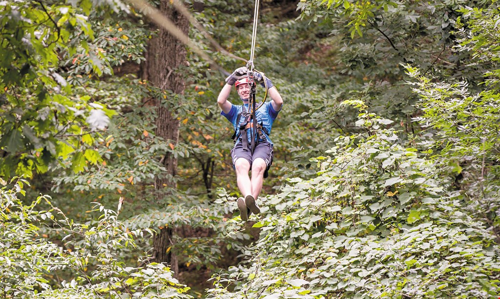 Product image for Tree Frog Canopy Tours $85 For 1 Zip Line Tour For 2 People (Reg. $170)