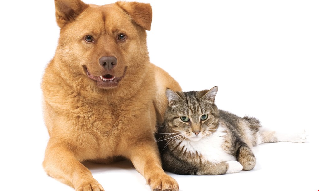 Product image for Hixson Pet Wellness Center $22.50 for a Pet Exam (Reg. $45)