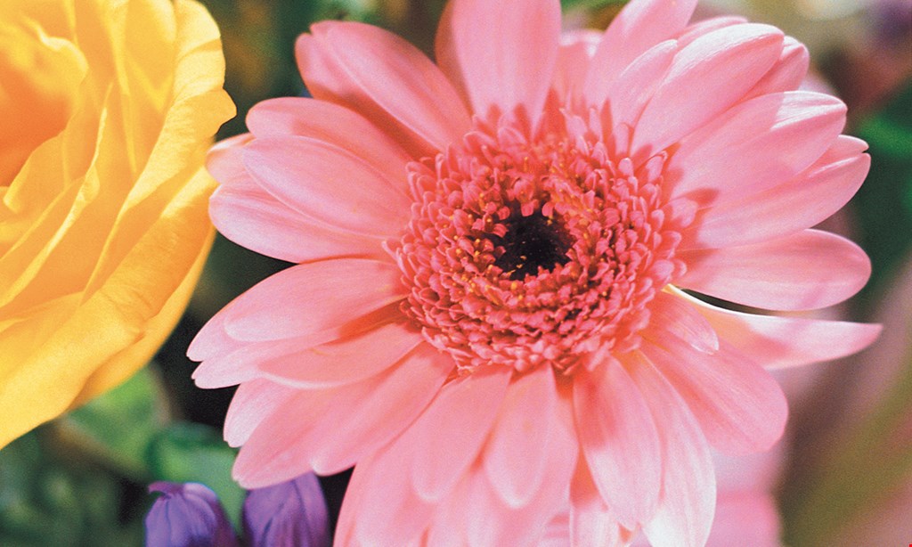 Product image for Farmstead Flowers $10 For $20 Toward Greenhouse Flowers, Plants & More