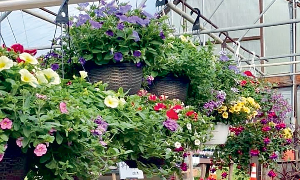 Product image for Farmer Stan's Plants & Produce $15 For $30 Worth Of Plants, Produce & Retail