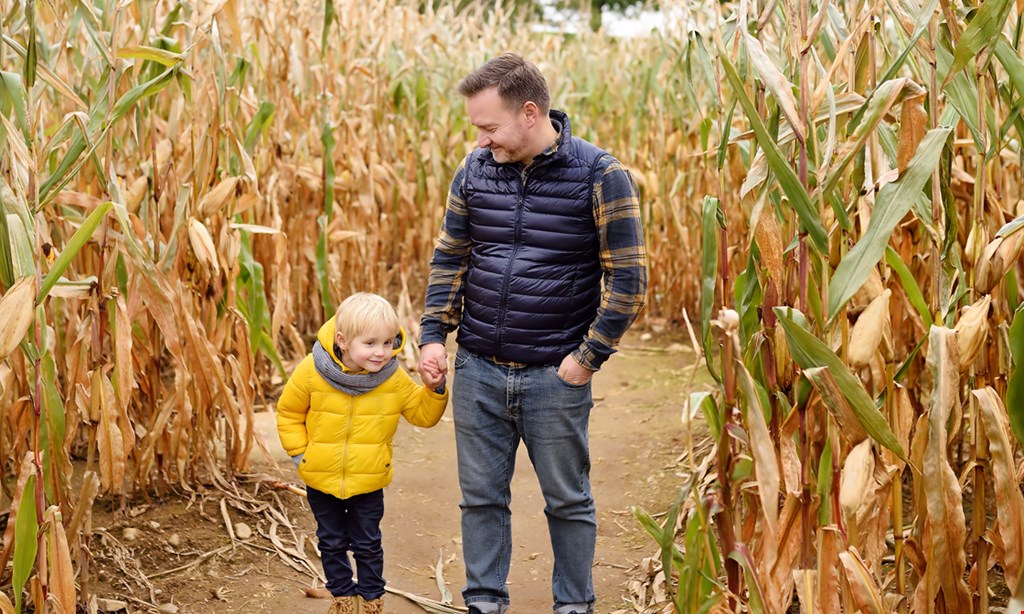 Product image for Maple Lane Farms $18 for 4 Corn Maze Admissions, Family of 4 for the price of 2. ($36 value)