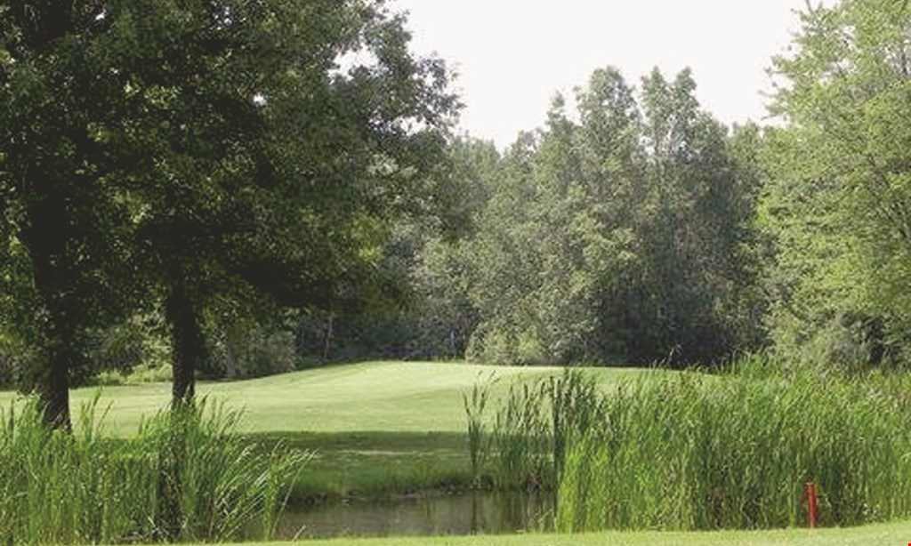 Product image for Northern Pines Of Cicero $42 For 18 Holes Of Golf For 2 People & Cart (Reg. $84)