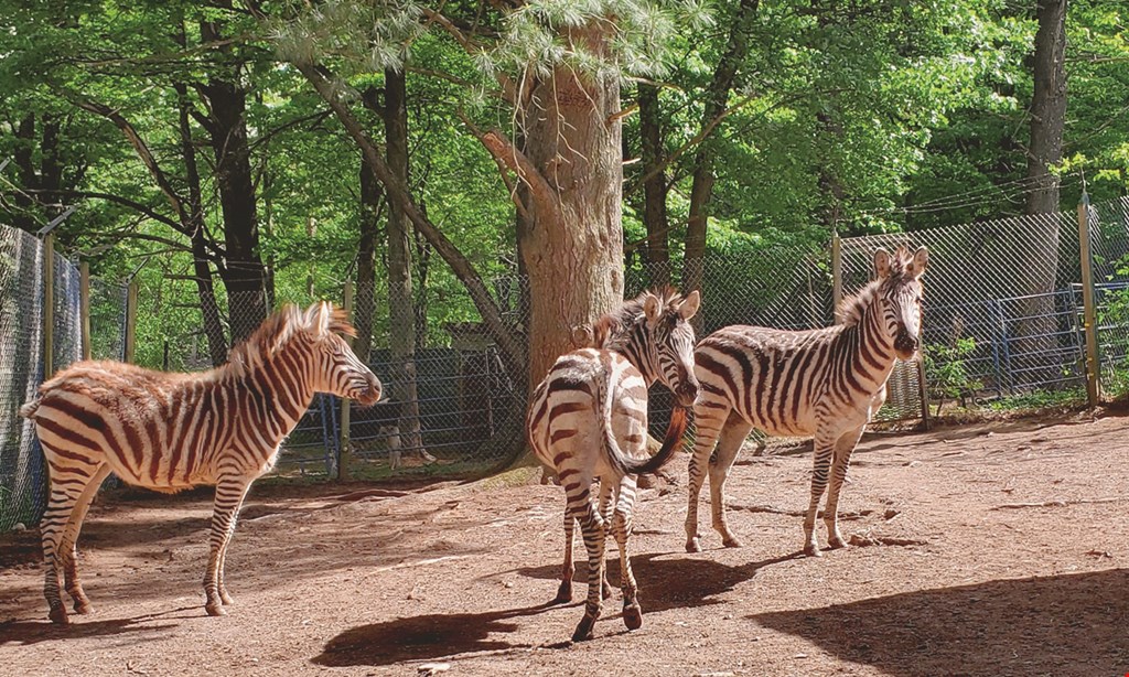 Product image for Bailiwick Animal Park $18 For Animal Park Admission For 2 Adults (Reg. $36)