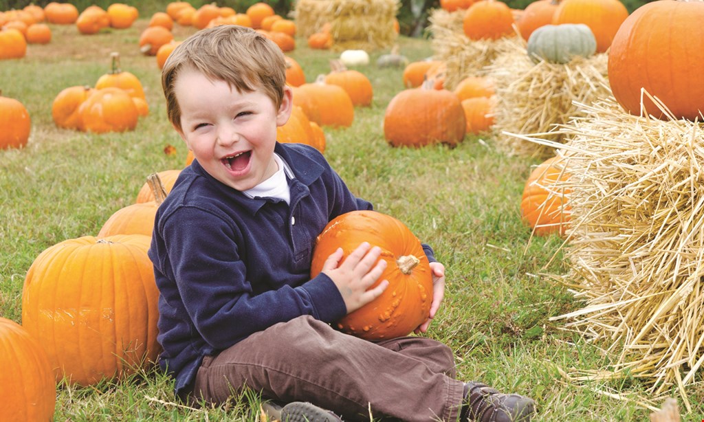 Product image for Liberty Ridge Farm $22 For 2 General Admissions to Fall Festival  (Valid 9/17/22 - 10/30/22) (Reg. $44)