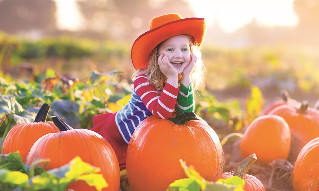 Product image for Maple Lane Farms $24 for 4 Corn Maze Admissions ($48 Value) Valid Sept 30th-Oct 31st, 2022