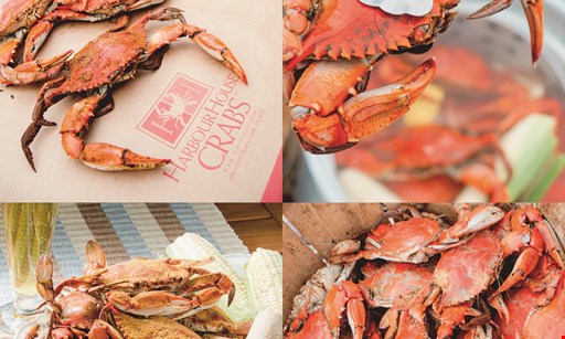 Product image for iLoveCrabs.com $159.99 For An All Inclusive Blue Crab Feast Super Premium (Reg. $259.99)