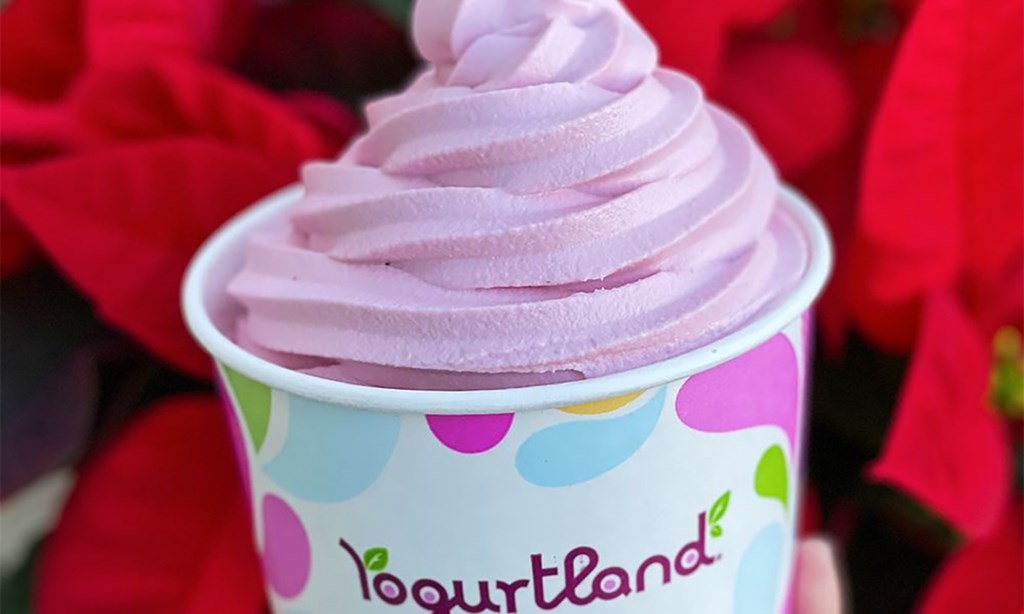 Product image for Yogurtland $10 For $20 Worth Of Yogurt & More
