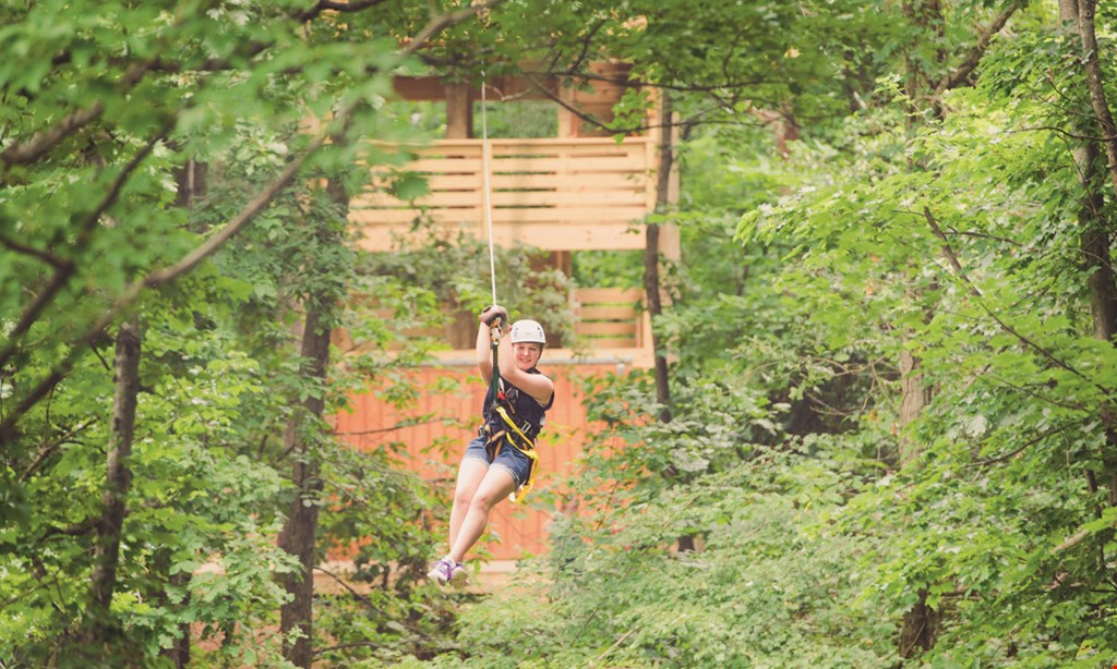 Product image for Empower Adventures Virginia $74.50 For A 2-Hour Treetop Zip Tour (Reg $149)