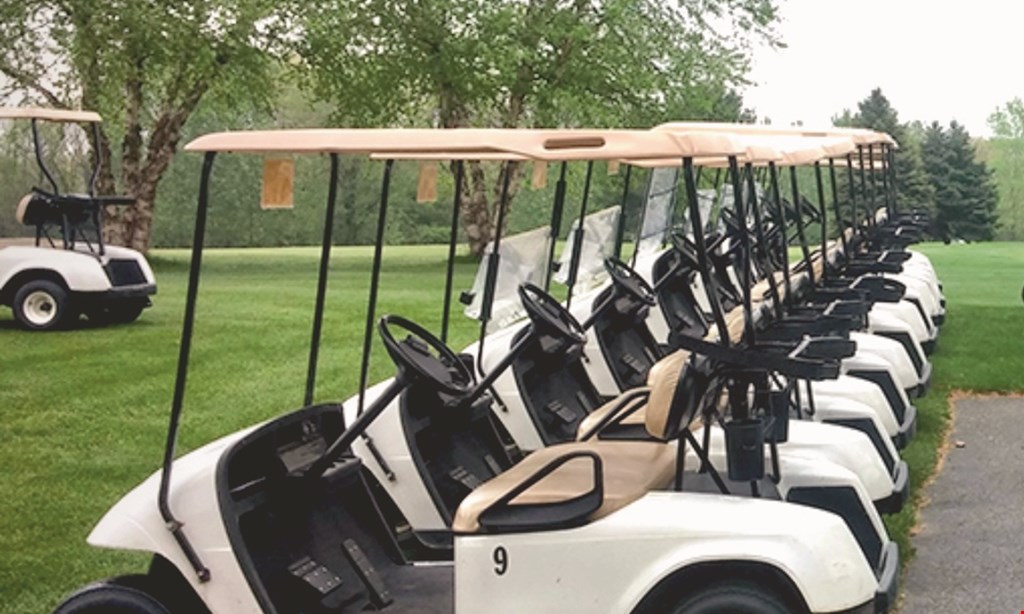 Product image for Ridgeview Golf Course $88 For 18 Holes Of Golf For 4 People Including Cart (Reg. $176)