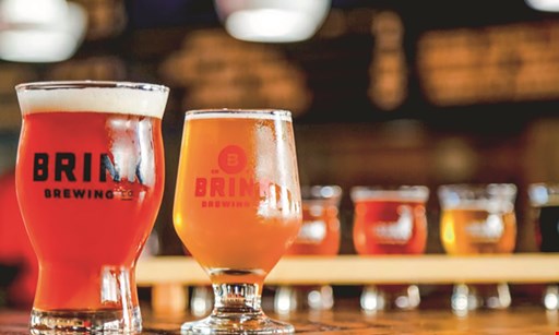 Product image for Brink Brewing Company $19 For 1 Flight Each For 2 People & 2 Souvenir Pint Glasses (Reg. $38)