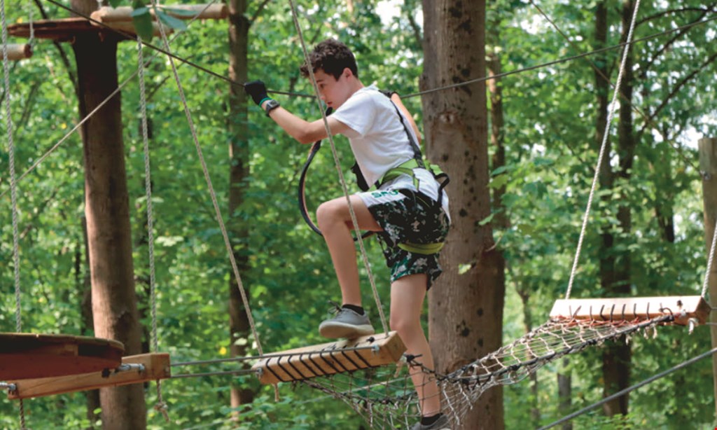 Product image for Tree Trekkers $59 For 2 Admissions For The Timber Trek Adventure Experience (Reg. $118)