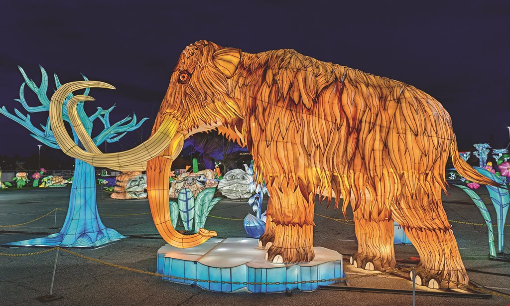 Product image for Luminocity Dino Safari Fl $20 For 2 Admission Tickets (Valid 5/17/24 - 6/16/24, 4:30pm-9:30pm, 1-Time Use Only) (Reg. $40)